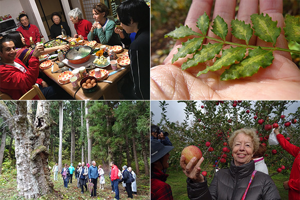 フランス人を魅了！　りんごの町「山形県朝日町」の“飾らないおもてなし”