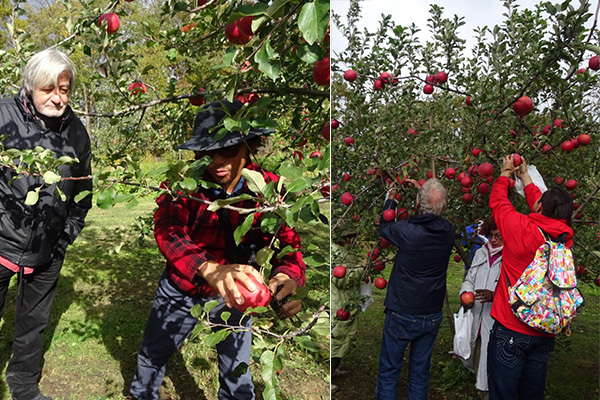 フランス人を魅了！　りんごの町「山形県朝日町」の“飾らないおもてなし”