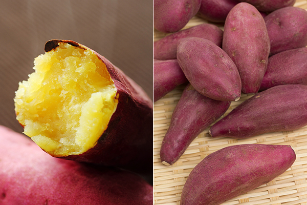 腸内美人の味方！ サツマイモがもっと好きになる注目スポット！