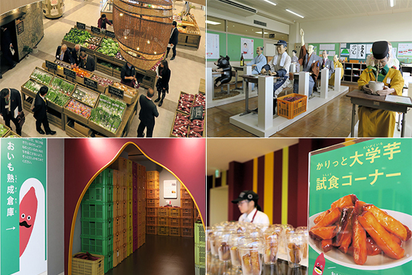 腸内美人の味方！ サツマイモがもっと好きになる注目スポット！