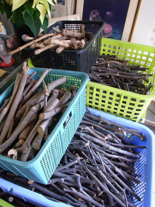 道具でありワタシでもある、世界にひとつの「小枝判子」はいかが？