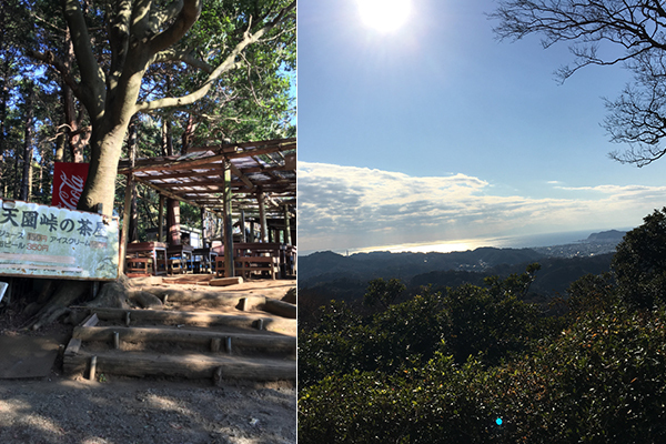 ダイエット＆リフレッシュに！　「鎌倉ウォーキング」で冬太り解消