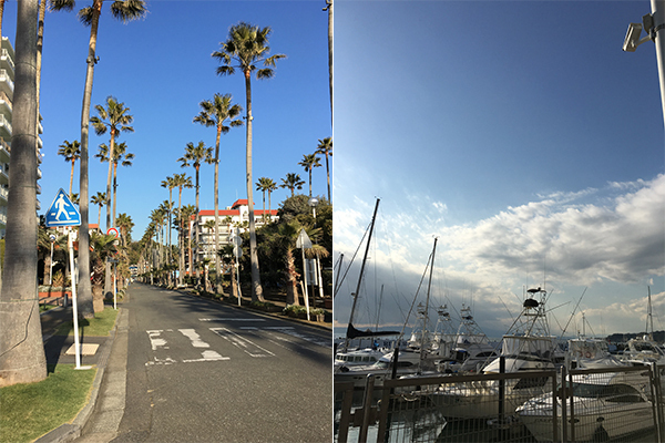 ダイエット＆リフレッシュに！　「鎌倉ウォーキング」で冬太り解消