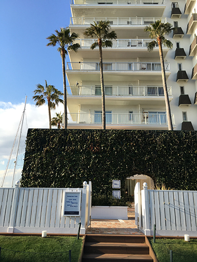 ダイエット＆リフレッシュに！　「鎌倉ウォーキング」で冬太り解消