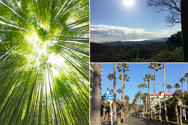 ダイエット＆リフレッシュに！　「鎌倉ウォーキング」で冬太り解消