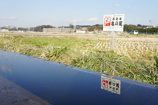 日本酒の神秘と技に出会う旅　「酒蔵」見学ツアーへ