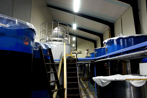 日本酒の神秘と技に出会う旅　「酒蔵」見学ツアーへ