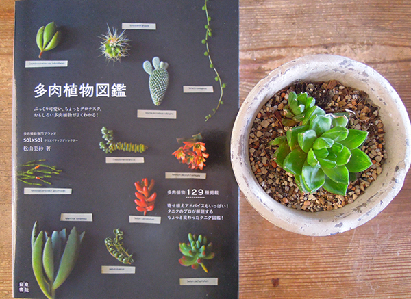 多肉植物、流木、鉱物… 見るだけで癒される図鑑 3冊