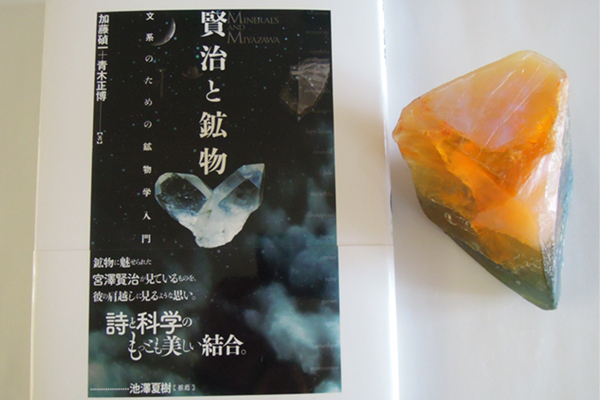 多肉植物、流木、鉱物… 見るだけで癒される図鑑 3冊