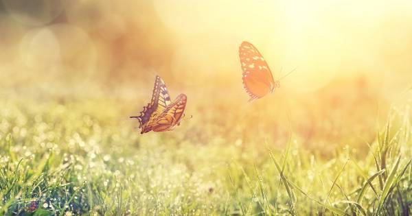 【年齢別おすすめ】子どもの想像力がアップする！　5つの「手遊び歌」