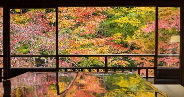 「子ども俳人」急増中！　「俳句」を詠むと豊かな言語感覚と語彙力が身につく理由
