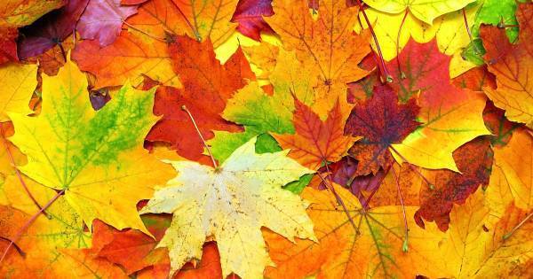 レッジョ・エミリア教育は何がすごいの？　Googleにも採用された理由とは