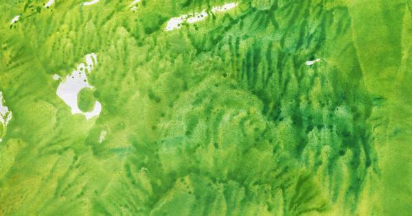 「デカルコマニー」ってどういう意味？　作品制作の簡単なやり方教えます。