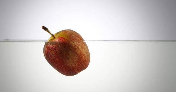 クイズで育む！？　子どもの「人生を決める」非認知能力の伸ばし方