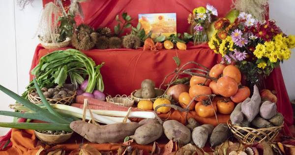 「模倣となりきり」で想像力が伸びる――感覚がフル稼働する「シュタイナー教育の1日」