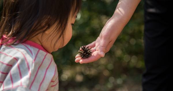「公園遊び」に道具は必要ない――外遊びは「なにもないところ」から始めよ