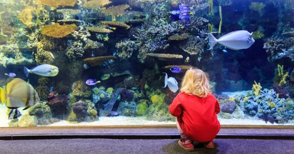 地頭を鍛える方法はただひとつ。子どもに「熱中体験」をさせよ