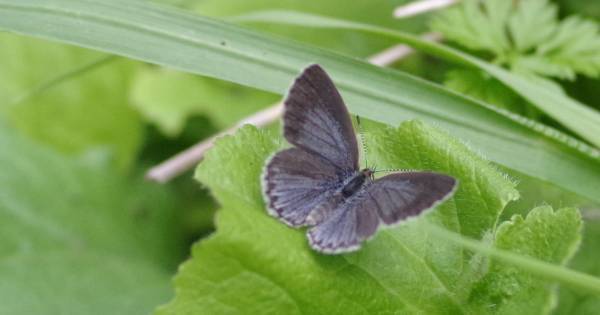 人気絵本作家いわむらかずおさんが語る「絵本の楽しみ方」と「読み聞かせの意義」