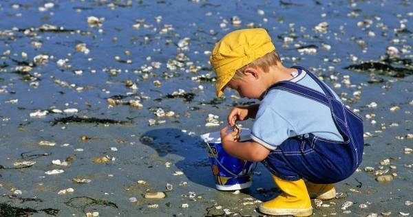 「なぜ？」は学びの第一歩！　子どもの知的探究心を伸ばす3つの答え方。