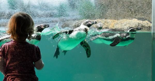 「なぜ？」は学びの第一歩！　子どもの知的探究心を伸ばす3つの答え方。