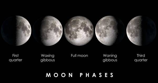 知的好奇心を学びに！　小4理科「月と星」につながる5つの学習サポート