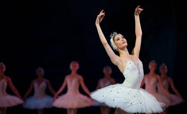 「演劇鑑賞」は教育効果が抜群だった。親子で観劇デビューしよう！【2019年厳選作品】