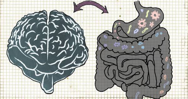 “第二の脳” を整える「腸活」をはじめよう！　子どものやる気や好奇心を高める食べ物とは？