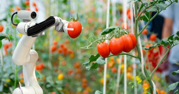 ついに「できる子」の定義が変わった！　未来の社会で活躍できる子どもの特徴
