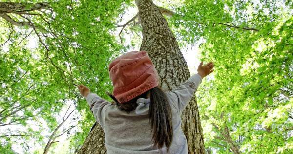 思考と行動、男女の違いを徹底解説。“男の子らしさ”“女の子らしさ”が伸びる教育方針