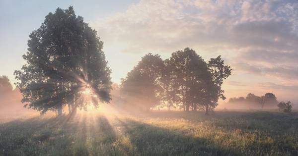 脳の「ゴールデンタイム」を利用しないなんてもったいない！　子ども “朝学” のコツ