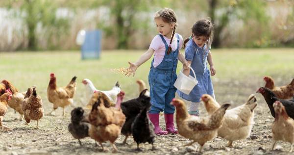夢中で遊ぶから「学びスイッチ」がONになる！　あと伸びする子の徹底的な遊び方