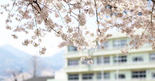 たった5歳の子どもにも国語辞典を与えるべき理由。“辞書を引く”ことの莫大なメリット