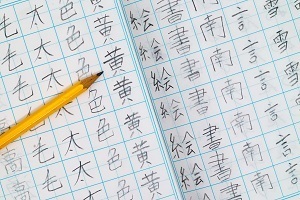 その後の学習理解度を大きく左右する。低学年の勉強がものすごく大切な理由