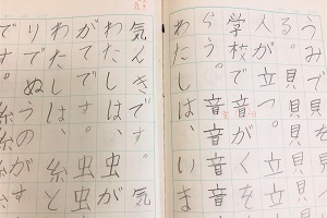 その後の学習理解度を大きく左右する。低学年の勉強がものすごく大切な理由