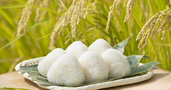 そこには食育だけで終わらない “学び” がある！　自然を体いっぱいに感じる「田植え体験」