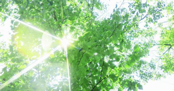 「起きる時間」を意識させるだけ！　子どもの早起きを楽にするちょっとしたコツ