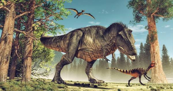 恐竜ハマり体験は小6理科につながる！【子どもの探求心をもっとくすぐる4つのヒント】