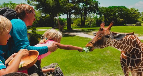 賢い子は知的好奇心が旺盛だった。「もっと知りたい！」のために実践すべき4つのこと
