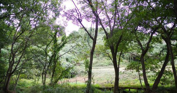 無関係だと感じたら、好奇心は育たない。「自然体験」「農業体験」は命の仕組みを学ぶチャンス！