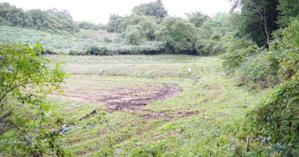 無関係だと感じたら、好奇心は育たない。「自然体験」「農業体験」は命の仕組みを学ぶチャンス！