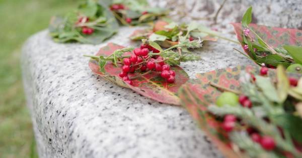 無関係だと感じたら、好奇心は育たない。「自然体験」「農業体験」は命の仕組みを学ぶチャンス！