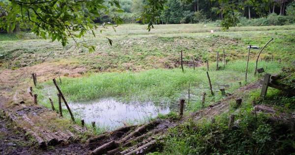 絵本と自然が出会う場所。物語の世界が広がる「いわむらかずお絵本の丘美術館」