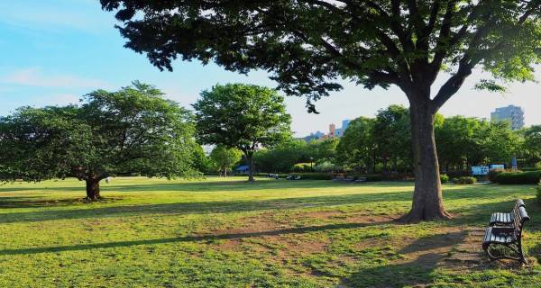 アートと子どもの距離が近い！　生まれ変わった「東京都現代美術館」で遊ぼう