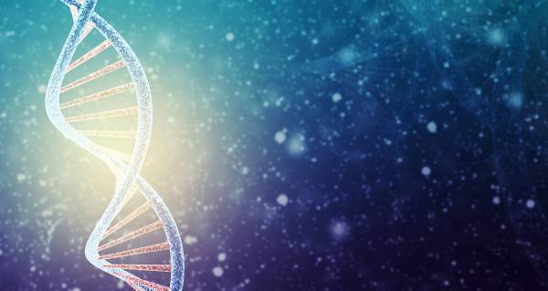 遺伝子か環境か。子どもの “学力と運動能力” はどちらで決まる？――「行動遺伝学」の答え