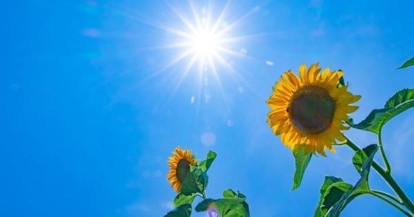 夏バテ・熱中症になりやすいの子どもの特徴。「暑さに強い体づくり」の要はココにある！