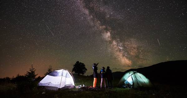 幼少期の自然体験がもたらす驚くべき教育効果！　「生きる力」はなぜ育つのか
