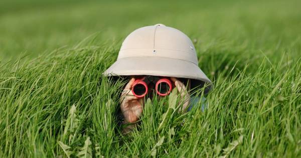 どんどん科学が好きになる！　子どもの「観察力」「好奇心」「探究心」を育てる方法