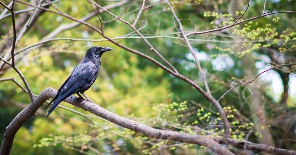 「自然だし、仕方ない」現代の恵まれた子どもたちが“自然体験”から学ぶ重要なこと