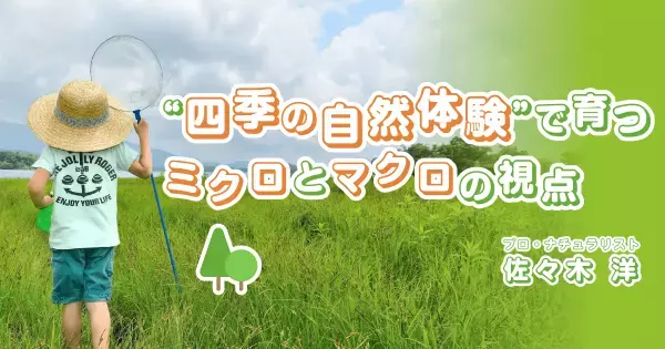 カブトムシやクワガタが採り放題！　夏休みに親子で作る“スーパーバナナトラップ”