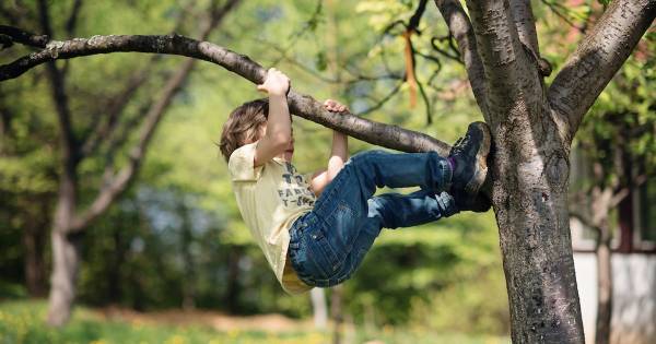 過保護はNG！　子どものうちに体験しておくべき「小さな危険」